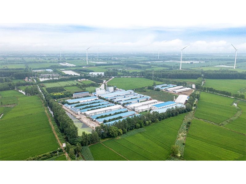 2023年中央一號(hào)文件出爐，畜禽產(chǎn)業(yè)應(yīng)抓住哪些新機(jī)遇？