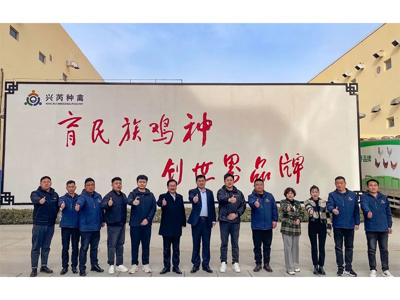 參觀學習促進步 交流合作贏發(fā)展︱卓一牧業(yè)赴興芮種禽、峪口禽業(yè)與瑞普生物參觀訪學