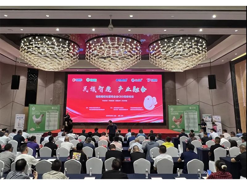 熱烈祝賀湖南規(guī)?；半u企業(yè)CEO高峰論壇取得圓滿成功！